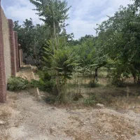فروش-باغ