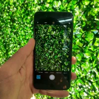iphone 7 plus 128|موبایل|تهران, میرداماد|دیوار