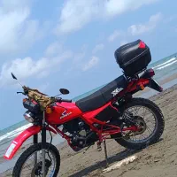 XL250 نیکتاز