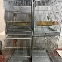 قفس