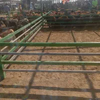 فروش بره نر