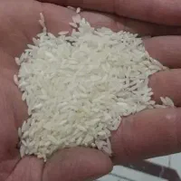 استخدام نیرو فروشنده