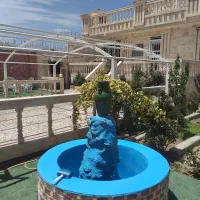 بنا‌سفت‌کار‌مسلط‌به‌تمام‌کارها‌به‌غیرسفید