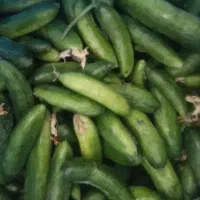 خیار و لوبیا سبز