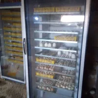 دستگاه جوجه کشی تمام اتومات بزرگ
