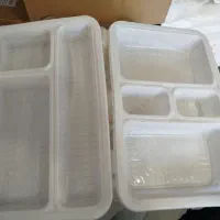 ظرف سلفی کباب. مرغ