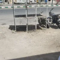 مرغ فروشی با تمام وسایل