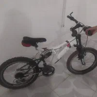 دو عدد دوچرخه