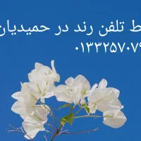 خط تلفن رند در حمیدیان ۳۲۵۷۰۷۹۷