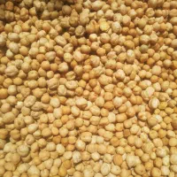 نخود ءبگوشتی کرمانشاهی