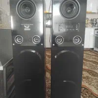 فروش باند خانگی