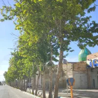 فروش زمین
