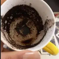 فال و سرکتاب