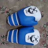 دستکش بوکس sting
