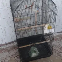 قفس بزرگ