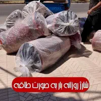 پالاز با مدیریت مهدی برجی