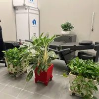 استخدام اپراتور لیزر خانم در کلینیک زیبایی|استخدام درمانی، زیبایی، بهداشتی|تهران, نازی‌آباد|دیوار
