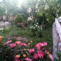 باغ ویلا ۴۰۰۰ متر و ساختمان ۱۸۰ متر و سوله ۲۰۰ متر