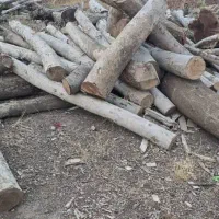 خریدار انواع چوب
