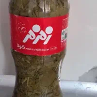 برگ مو