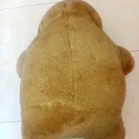 عروسک|اسباببازی|بومهن, |دیوار