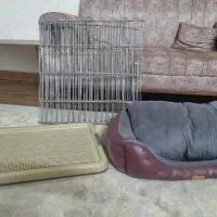 پارک سگ