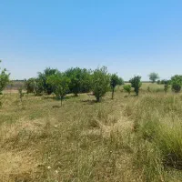 فروش ومعاوضه/زمین 180متری/عمله سیف قسمت B/ کد19751