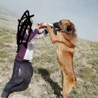 واگذاری‌سگ