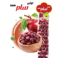 ویزیتور و بازار یاب حرفه ای