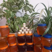 عسل و ژل رویال پرداخت درب منزل تضمین برگشت وجه