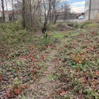 فروش زمین زیر قیمت،اقتصادی