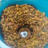پوست گیری بادام و گردو
