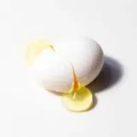 فروش تخم مرغ خانگی