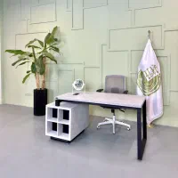 میز کارمندی ، میز کارشناسی T210