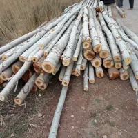 خریدار چوب وهرس باغ