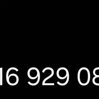 09169290829