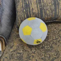 توپ اپارتمانی