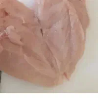 سینه مرغ