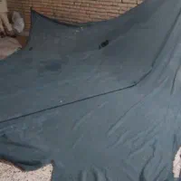 تور سبز