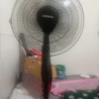 پنکه ایستاده