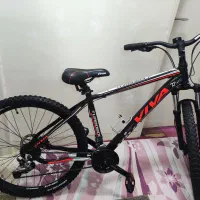 دوچرخه