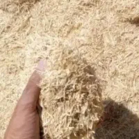 کاه گندم دیمی