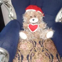 خرس تدی خارجی