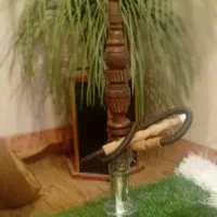 قلیون چوب گردو