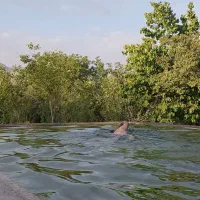 باغ ویلا ۳۰۰۰ متری با ترانس برق و چاه آب اختصاصی.