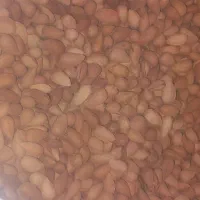 بادام تلخ