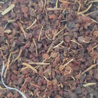 کشمش آبگیری