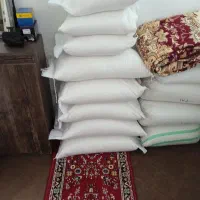 برنج هاشمی آستانه اشرفیه