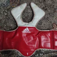 هوگو تکواندو