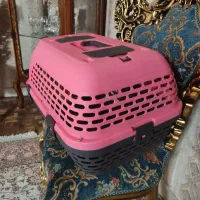 باکس حیوانات